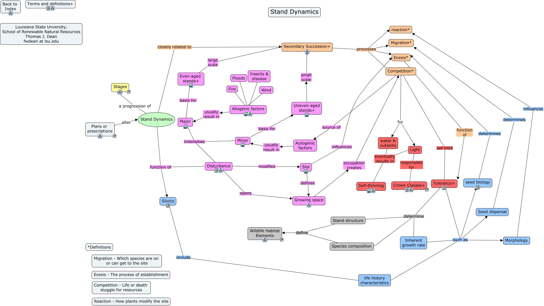 2a-stand-dynamics-how-do-even-aged-stands-develop-naturally