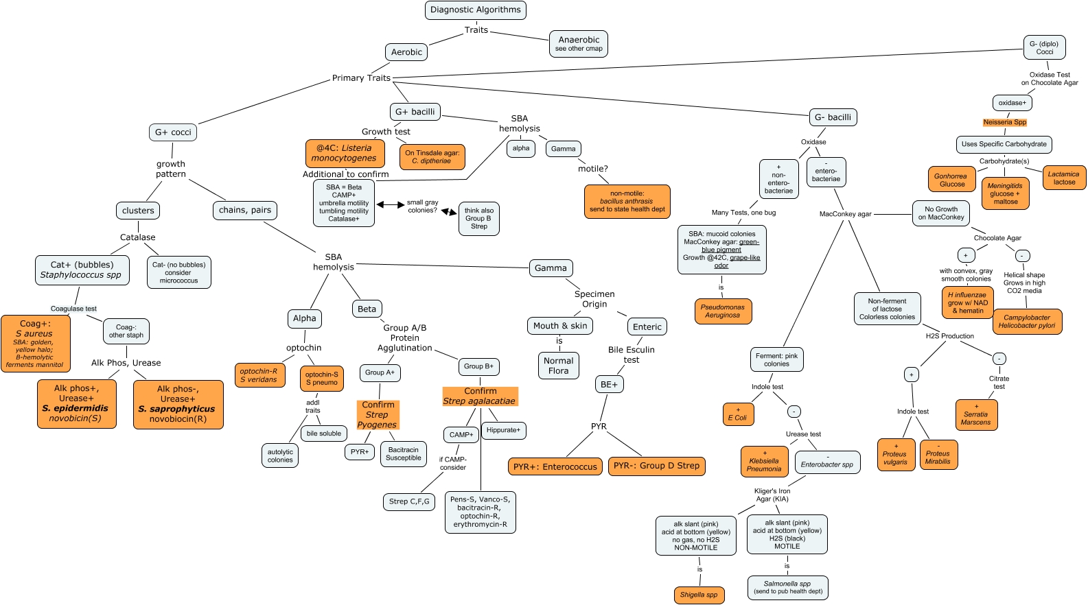 Bacteria Diagnostic Algorithm - Given specific lab values, which ...