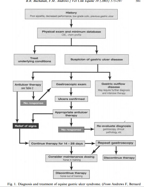 Clinical Approach to Treatment of GIT Disorders