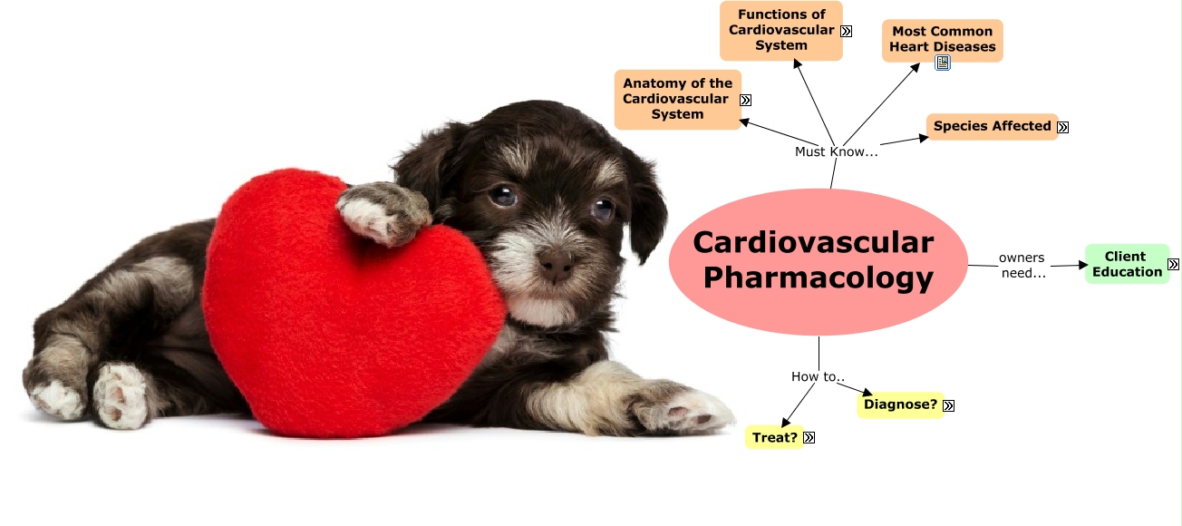 what are the end stages of congestive heart failure in dogs