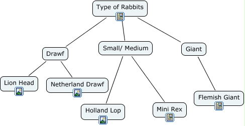 TypeOfRabbits