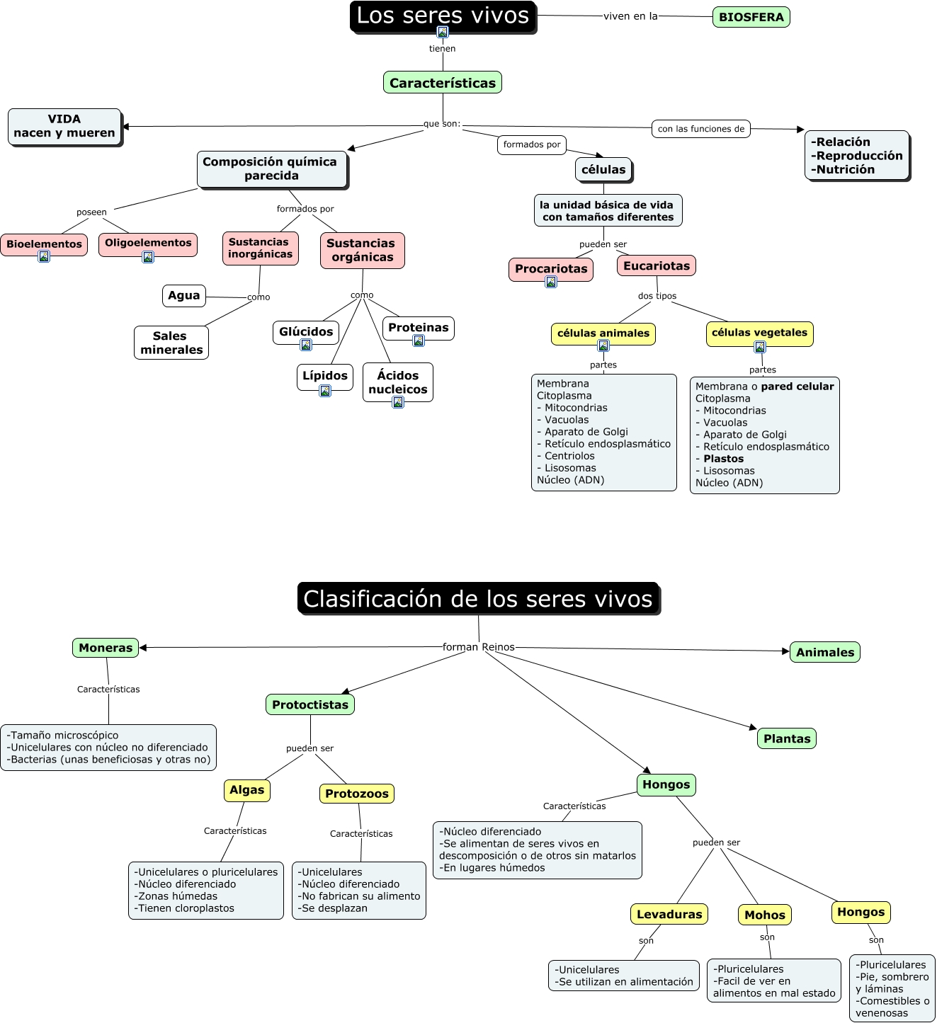 Los seres vivos y su clasificación