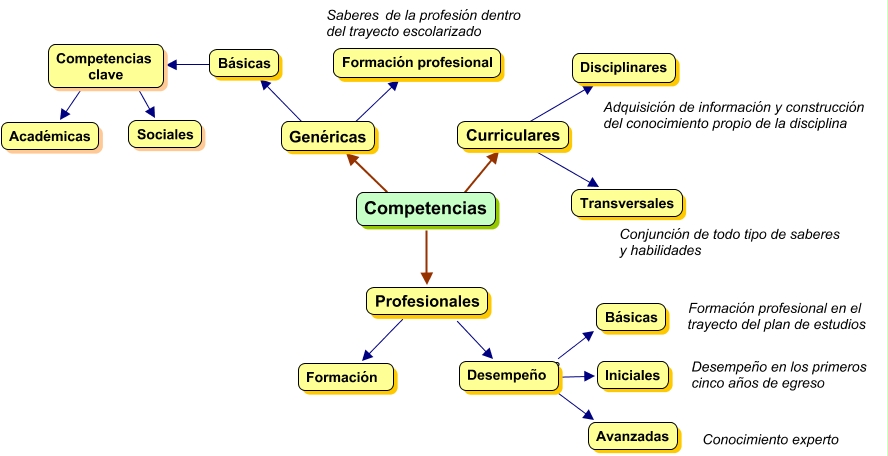 Resultado de imagen para competencias disciplinares