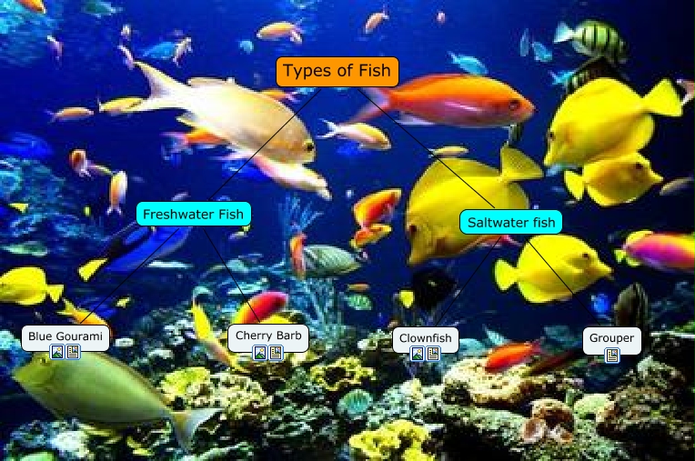 Types Of Fish