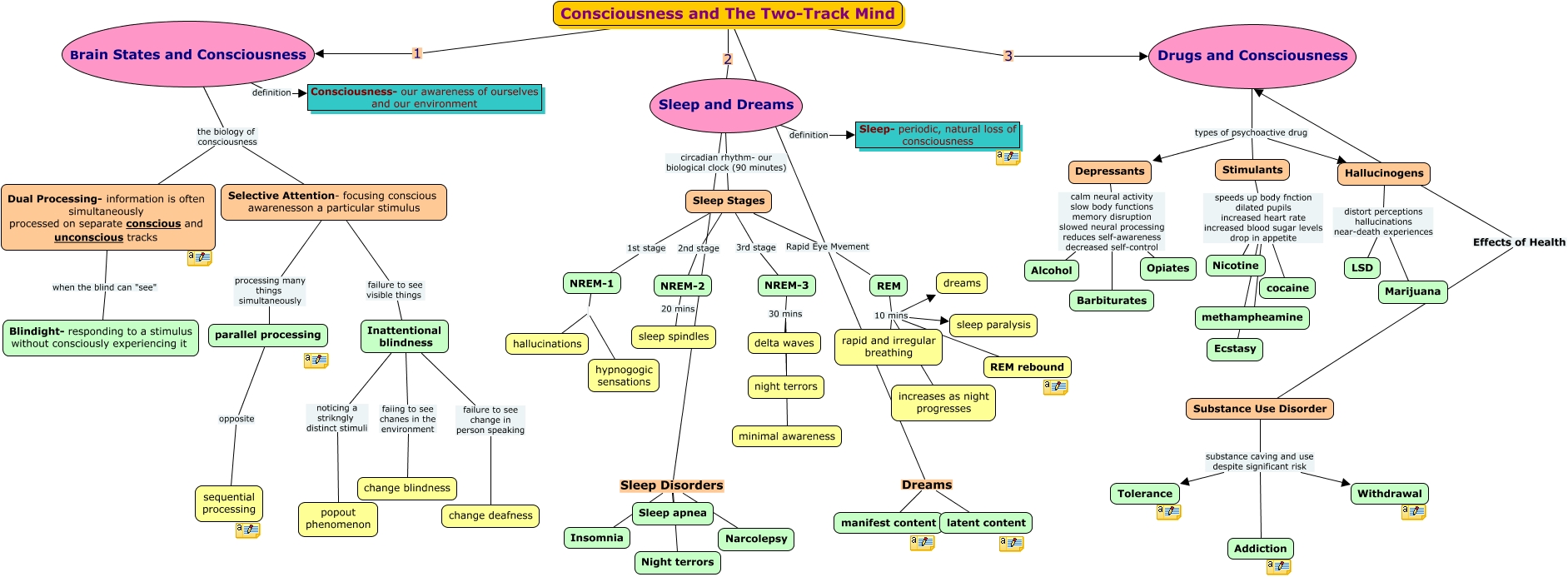 chapter 3 - Consciousness and the two-track mind