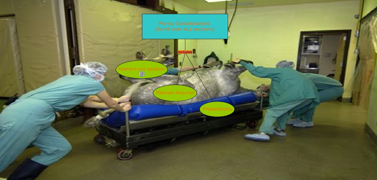 Pre-op