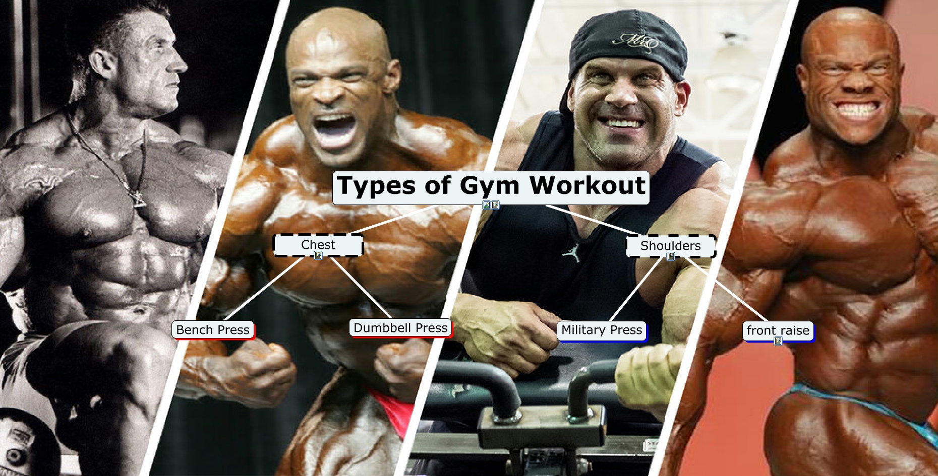 Types of Gym workout