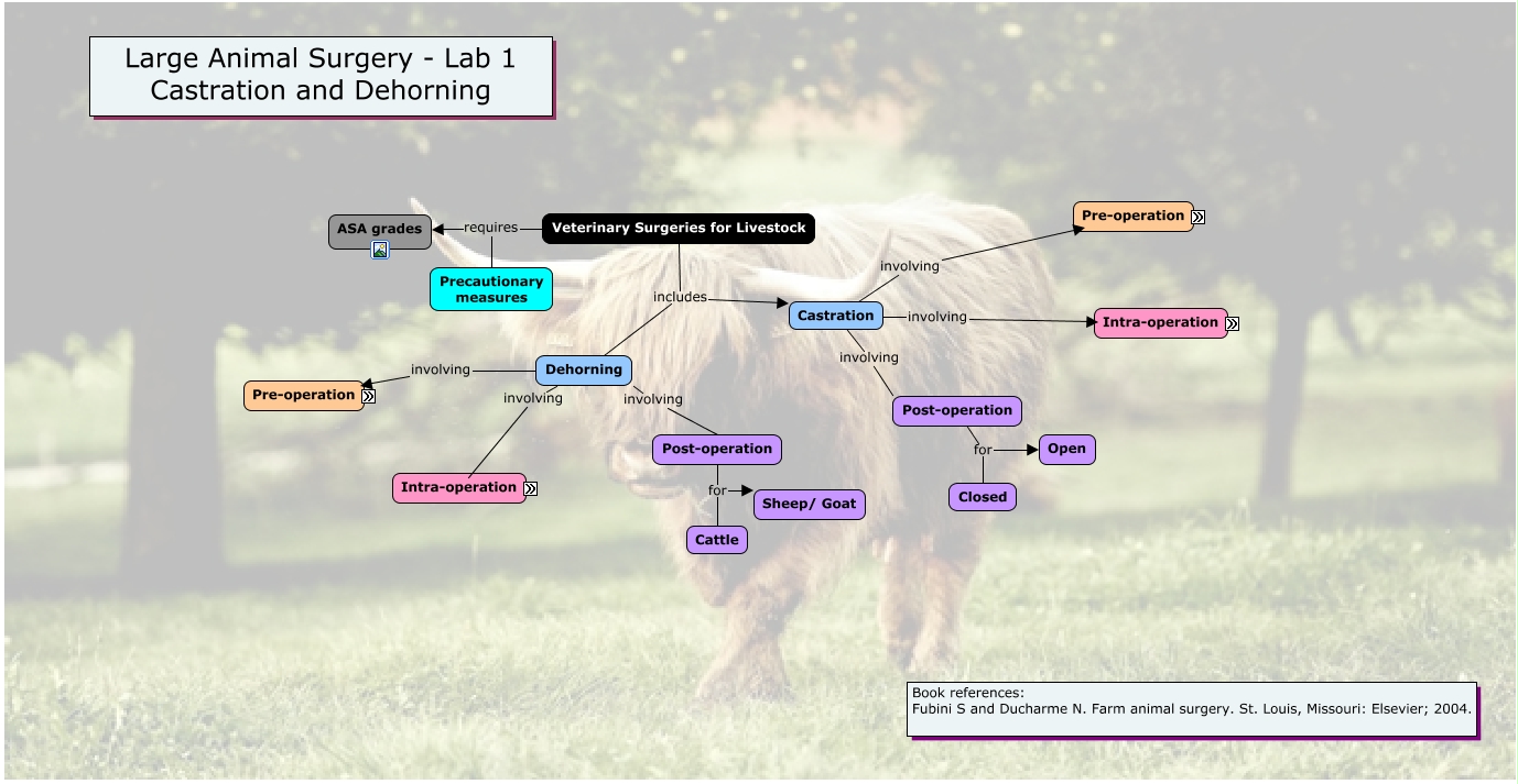 Lab 1 - castration and dehorning