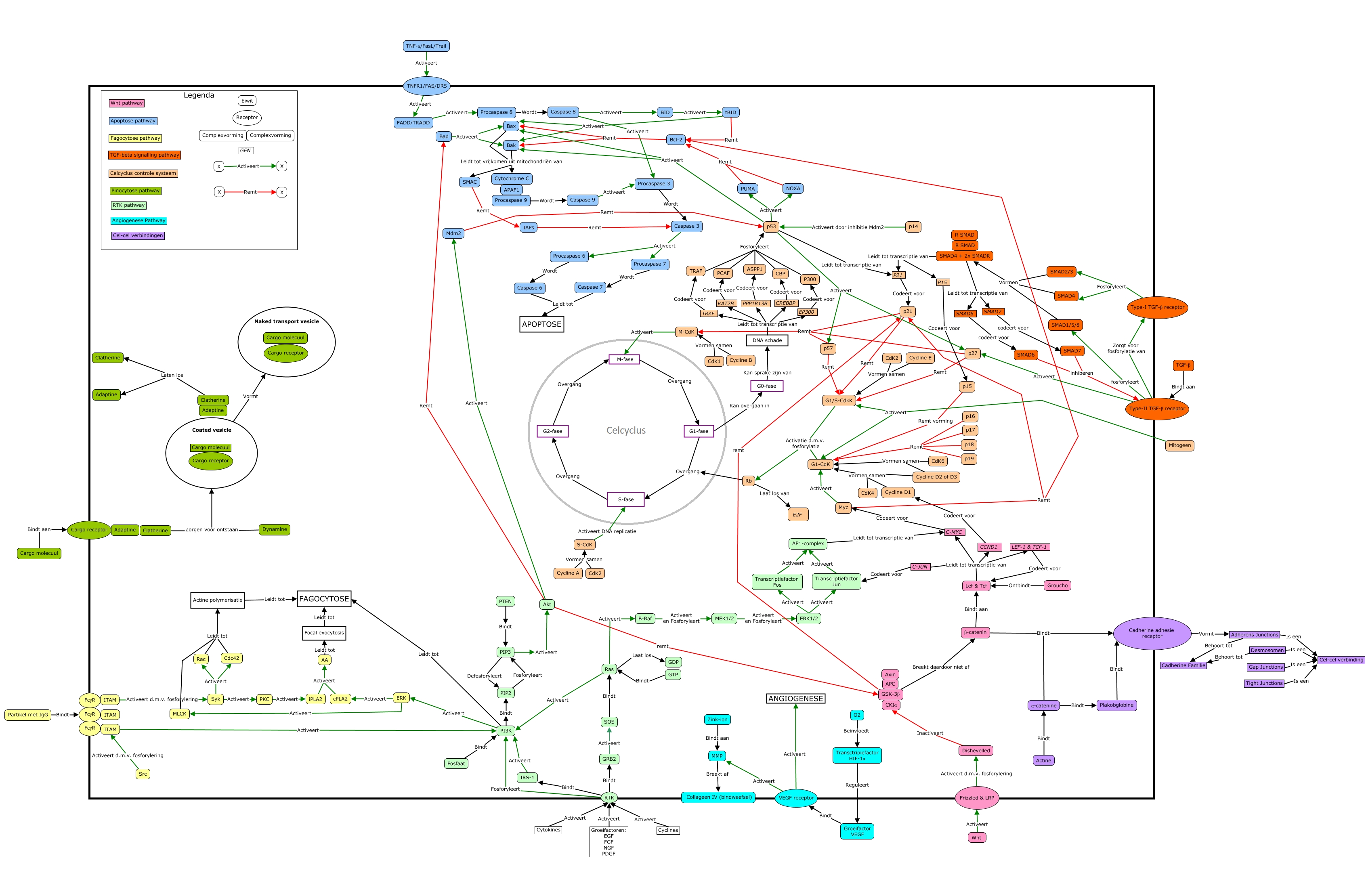 cell Cmap