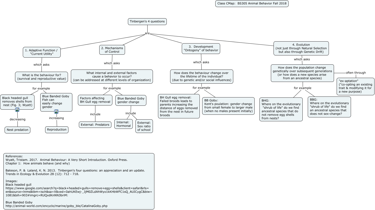 Tinbergen's 4 questions overview What are Tinbergen's 4 questions