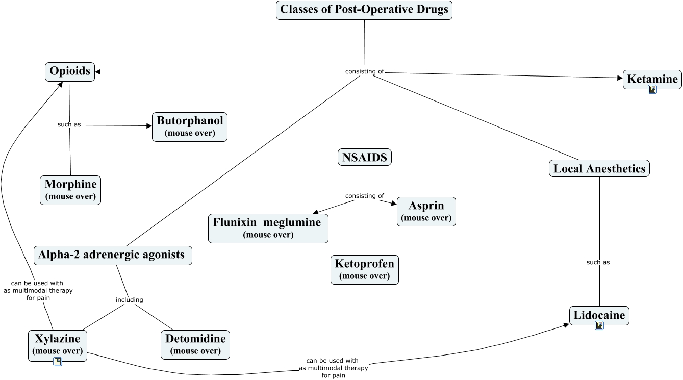 Post Operative Drugs