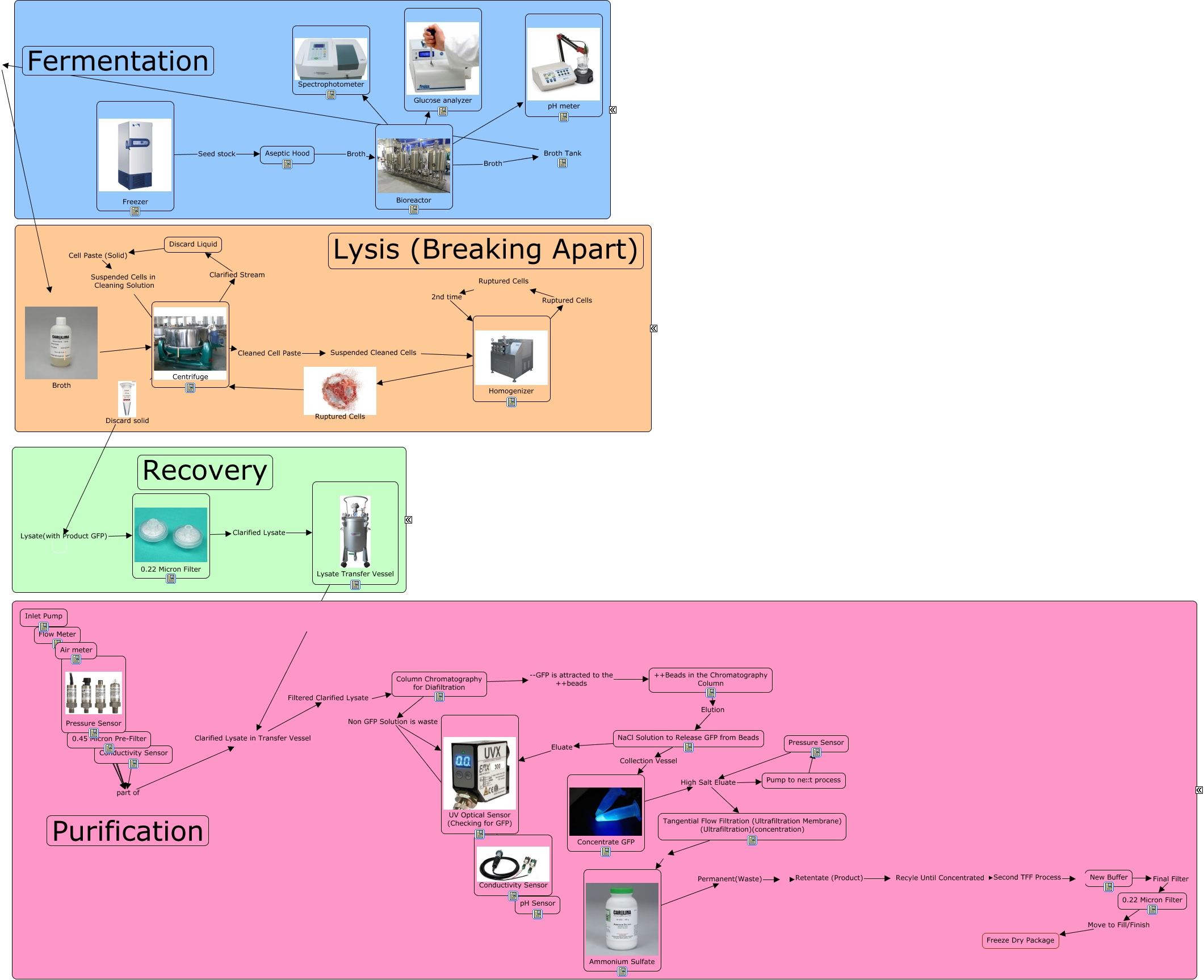 Plant Cmap