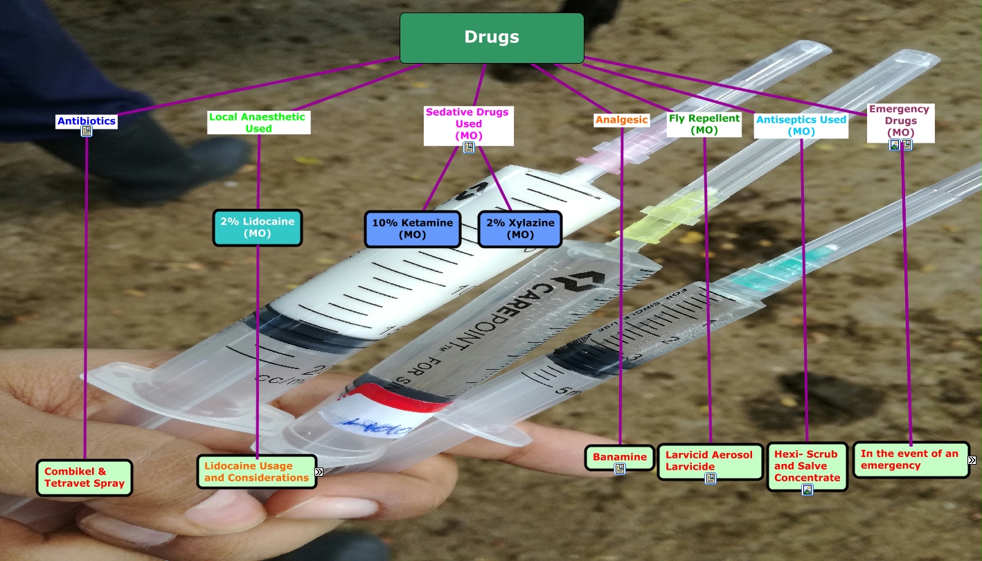 Drugs Used for Closed Castration