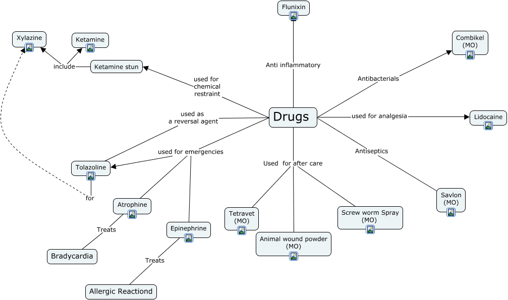 Drugs