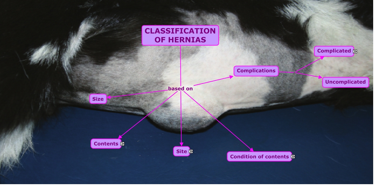 Classification