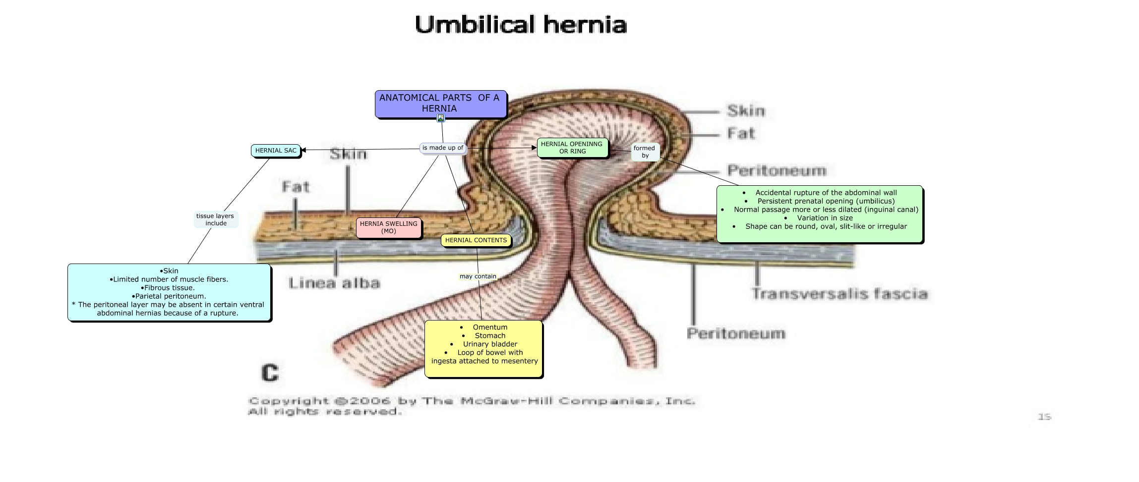 Anatomy of a hernia