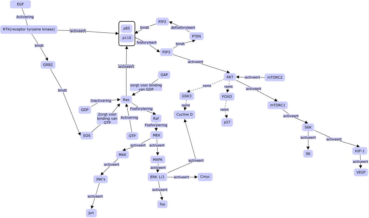 Deelopdracht 2A - RTK pathway