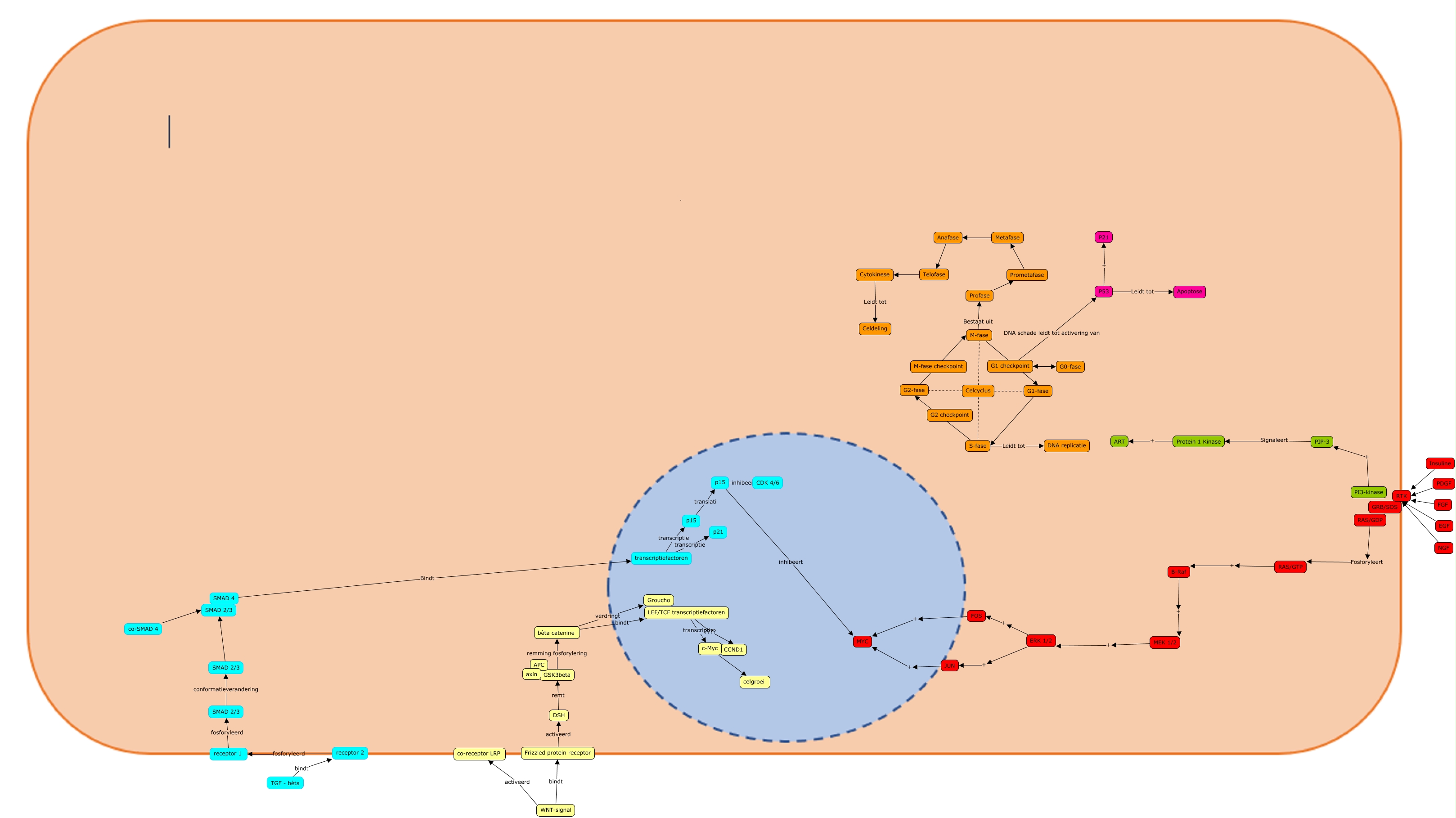 cMAP