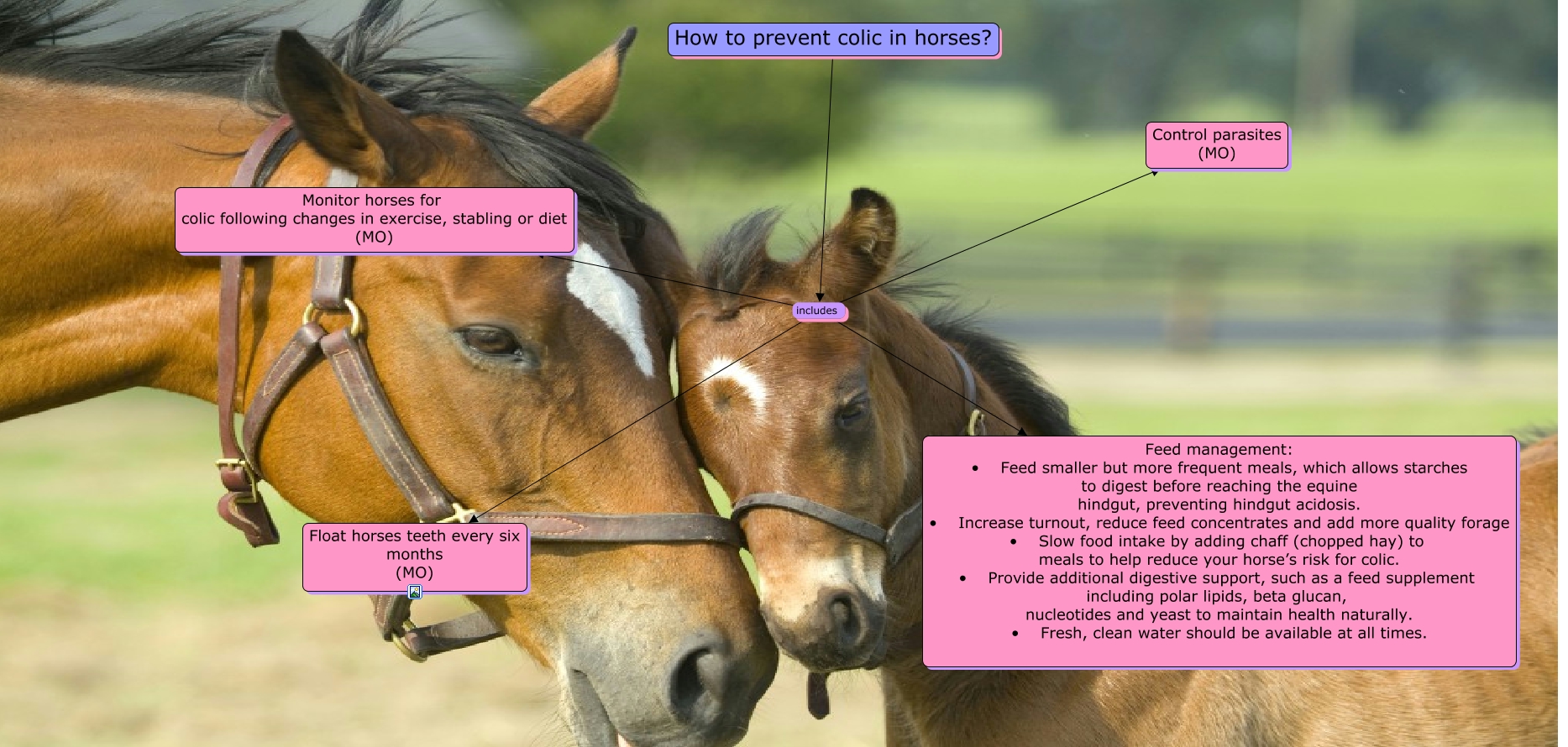 Prevention
