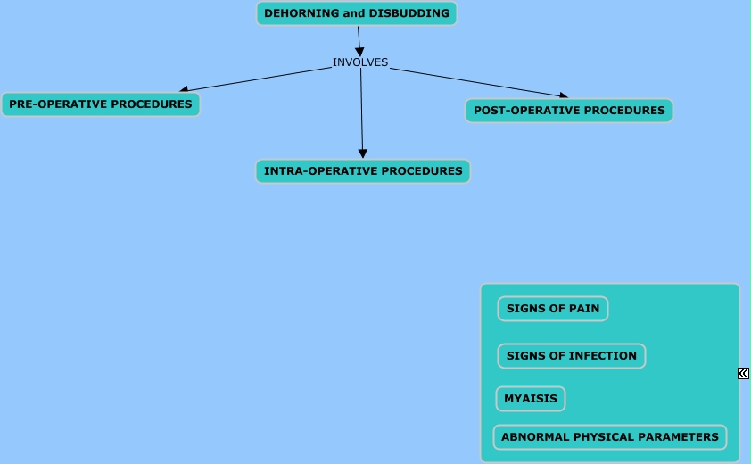 LAB 2 - Dehorning and Disbudding Procedures
