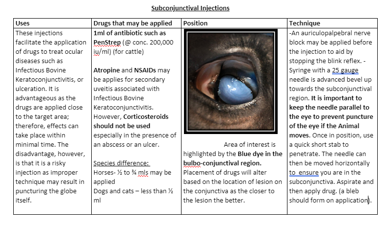 Lab 3- Eye Surgeries