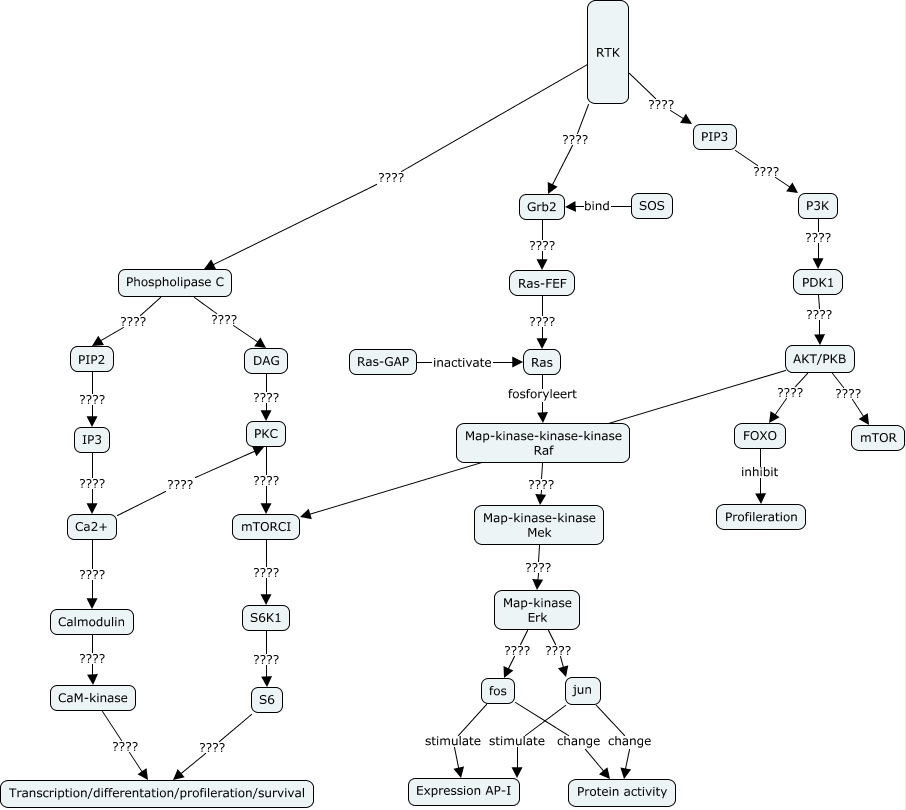 Cmap RTK pathway