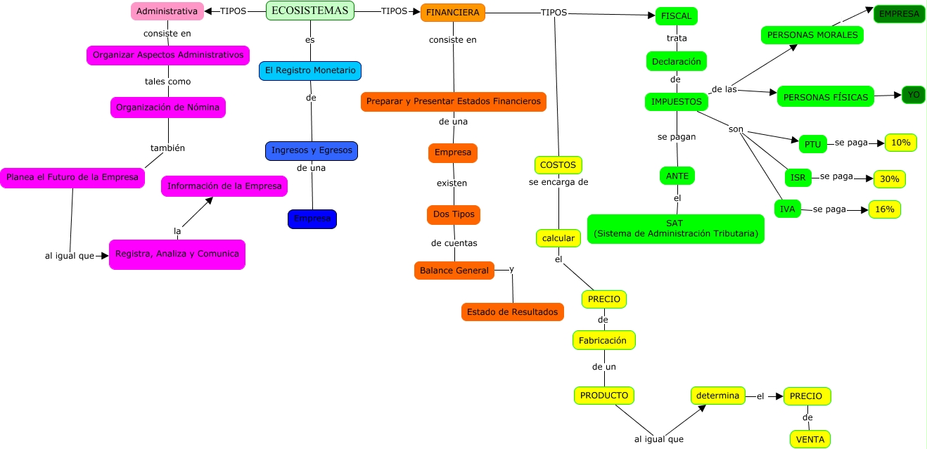 nadiacervantes_Act2Tipos de Contabilidad - mapa conceptual de la gallina  enana