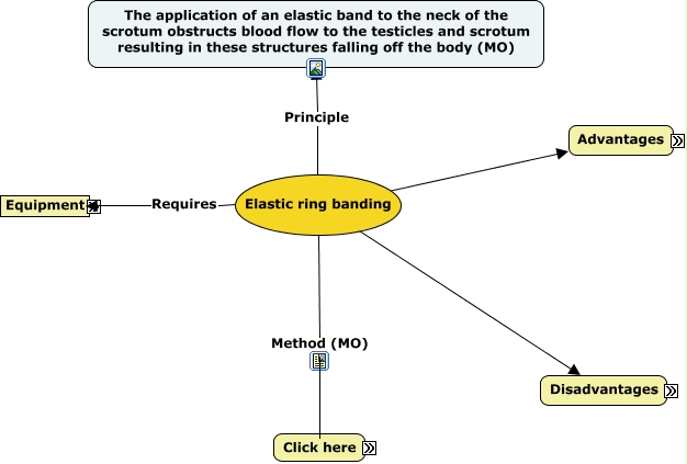 Elastic ring banding