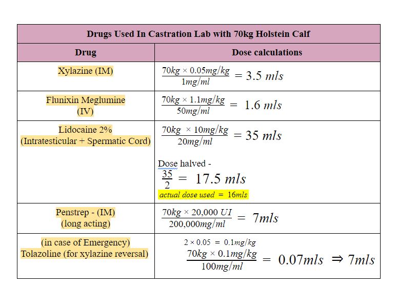 Group 5 - Lab 4 - Leo's Castration