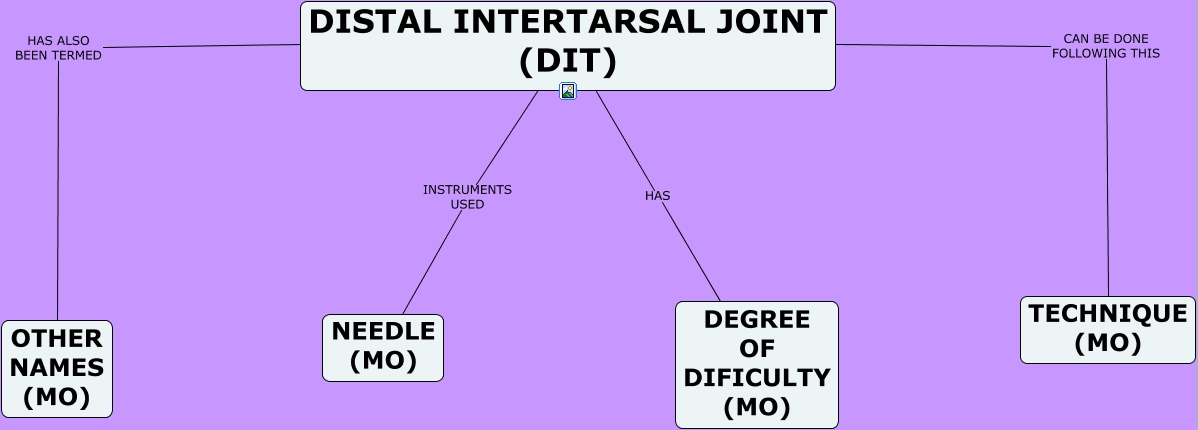 Distal Intertarsal Joint (DIT)