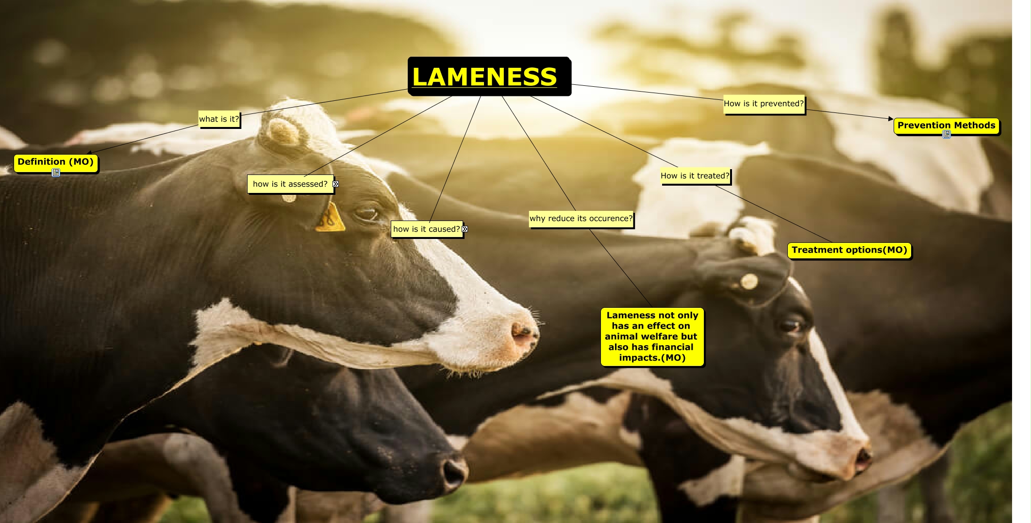 LAMENESS cmap