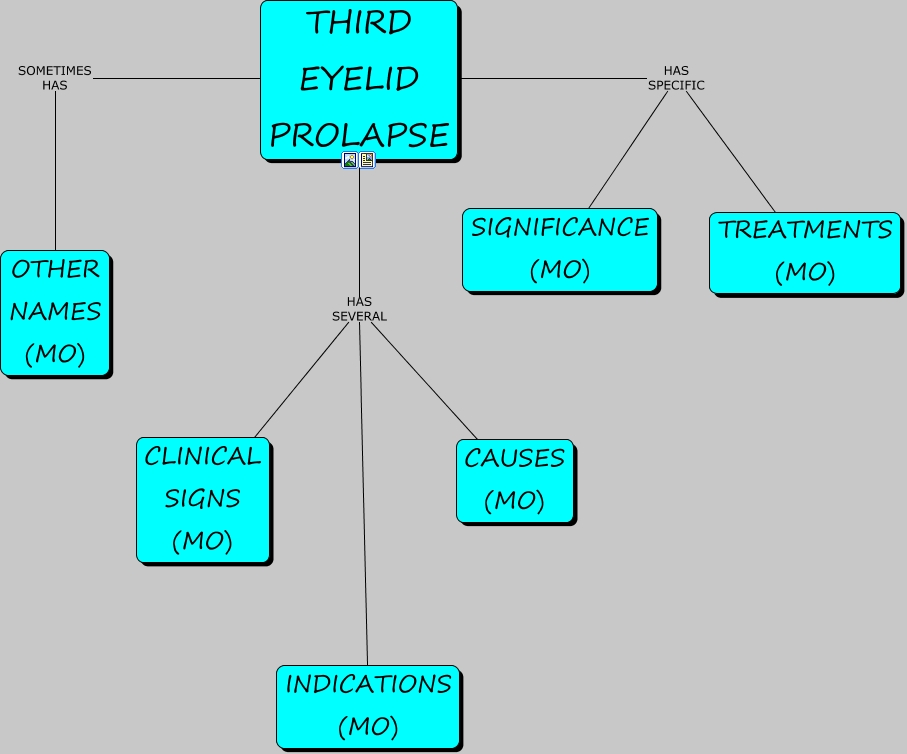 THIRD EYELID PROLAPSE