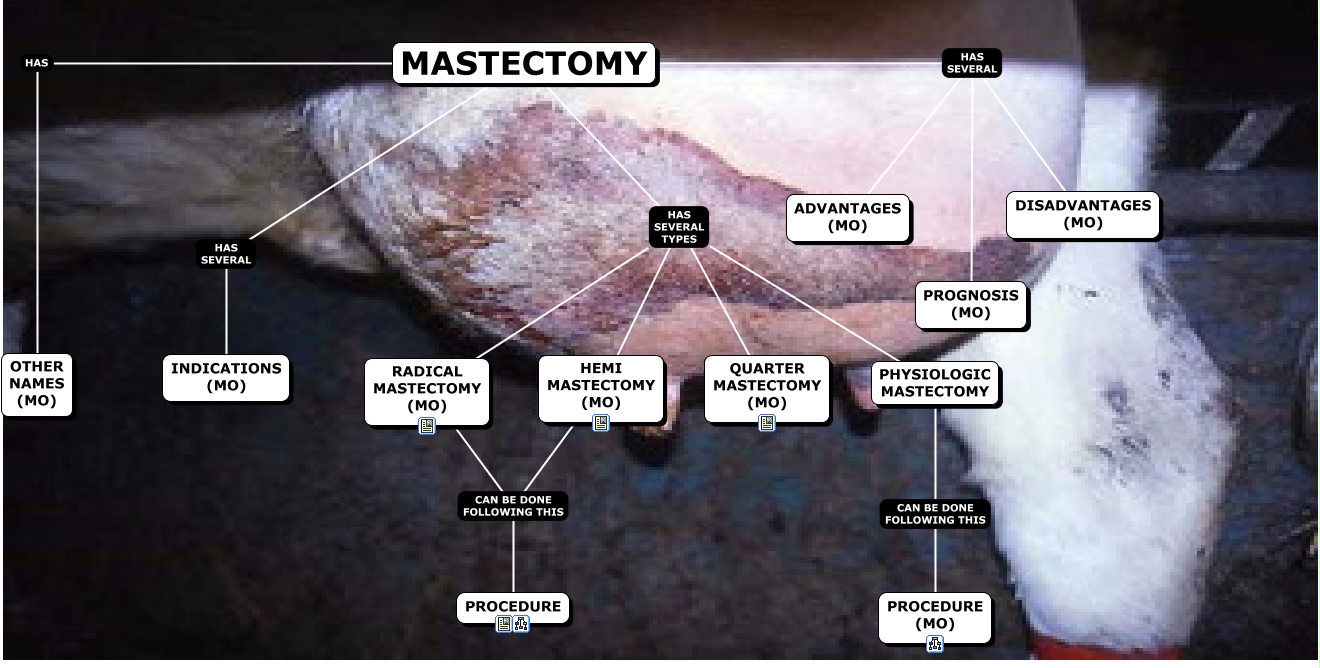 MASTECTOMY