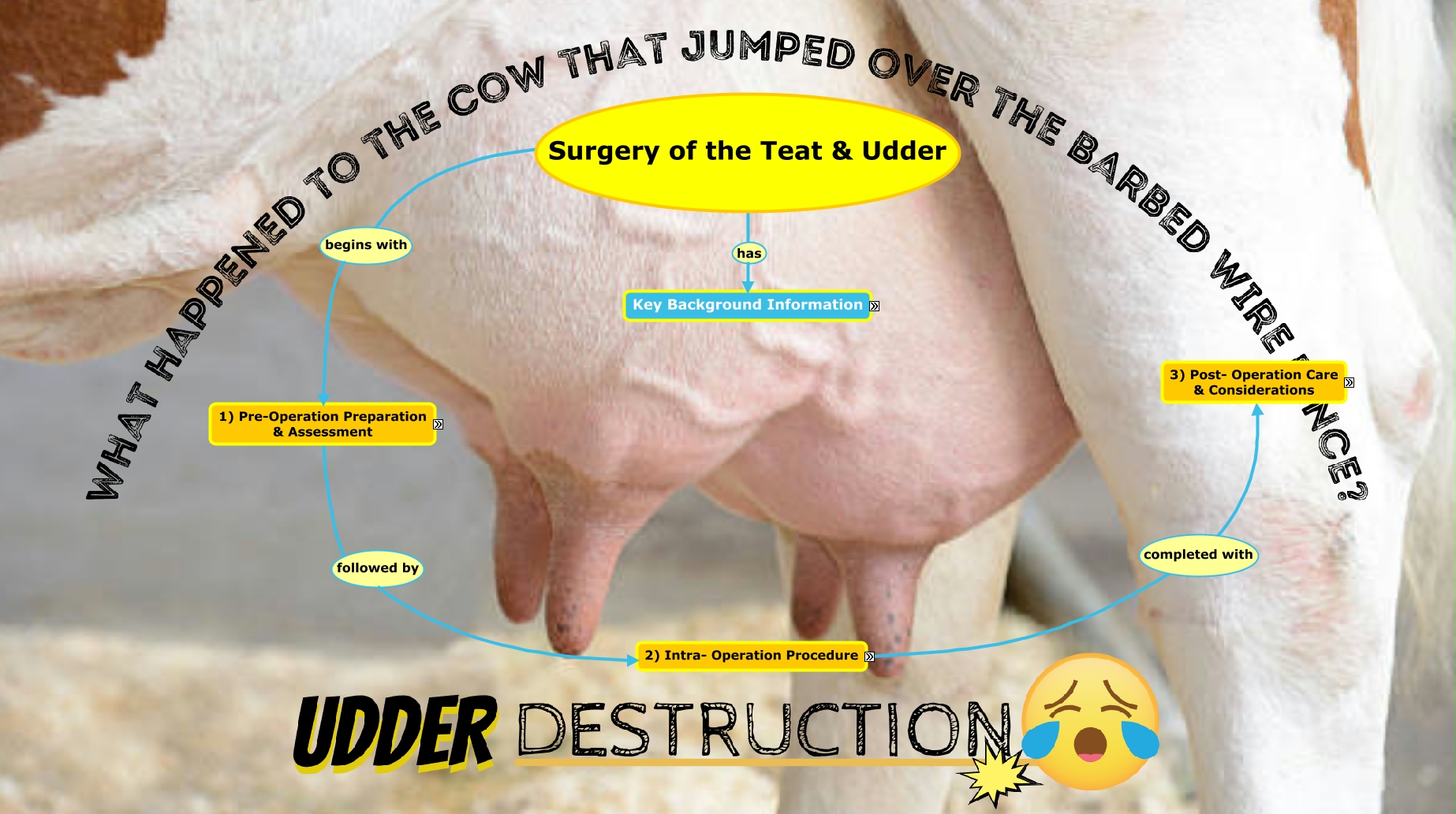 Group 3 Lab 8 - Surgery of the Teat and Udder (Working on Pre-Op)