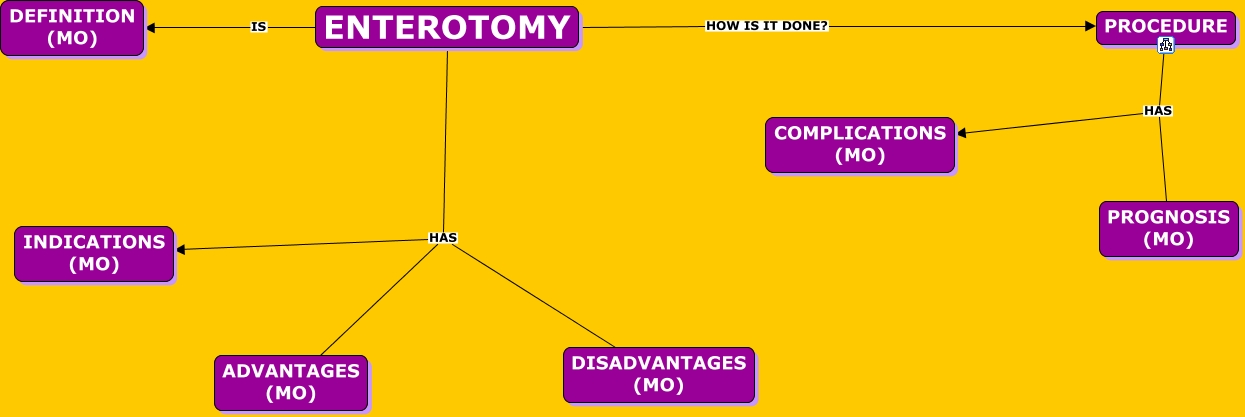 ENTEROTOMY