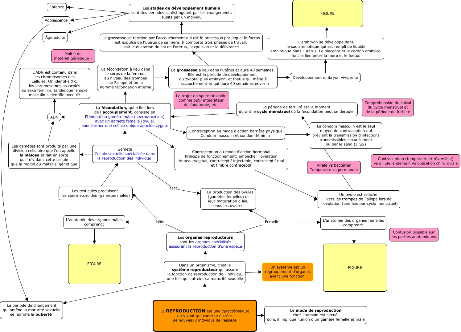 Copie de Trame conceptuelle - Daigle-Sindon-Desmarais