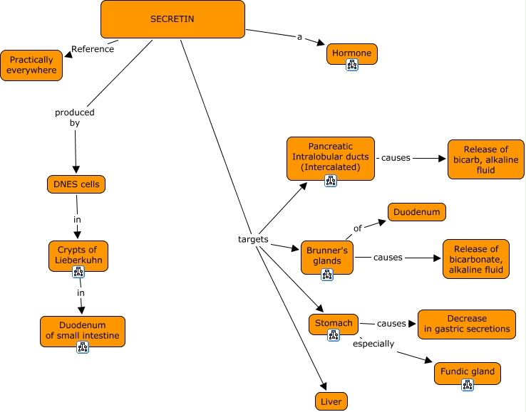 21. Secretin - CaTOS-Block 3