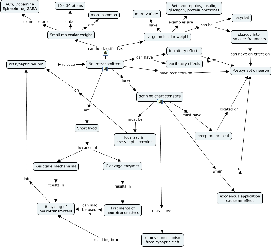 LMM Neurotransmitters
